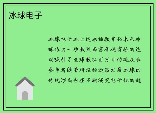 冰球电子